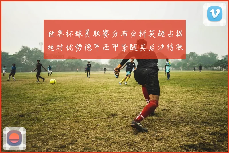 世界杯球员联赛分布分析英超占据绝对优势德甲西甲紧随其后沙特联排名第六