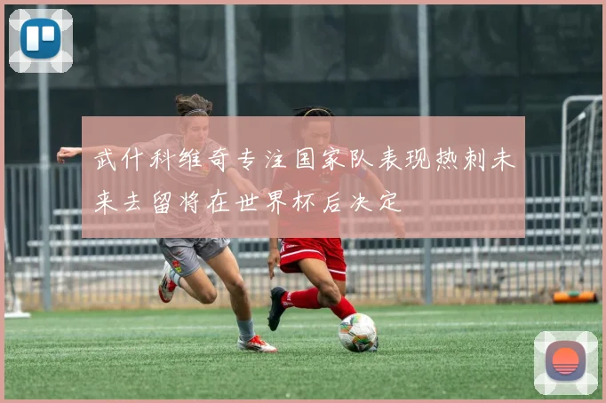 武什科维奇专注国家队表现热刺未来去留将在世界杯后决定